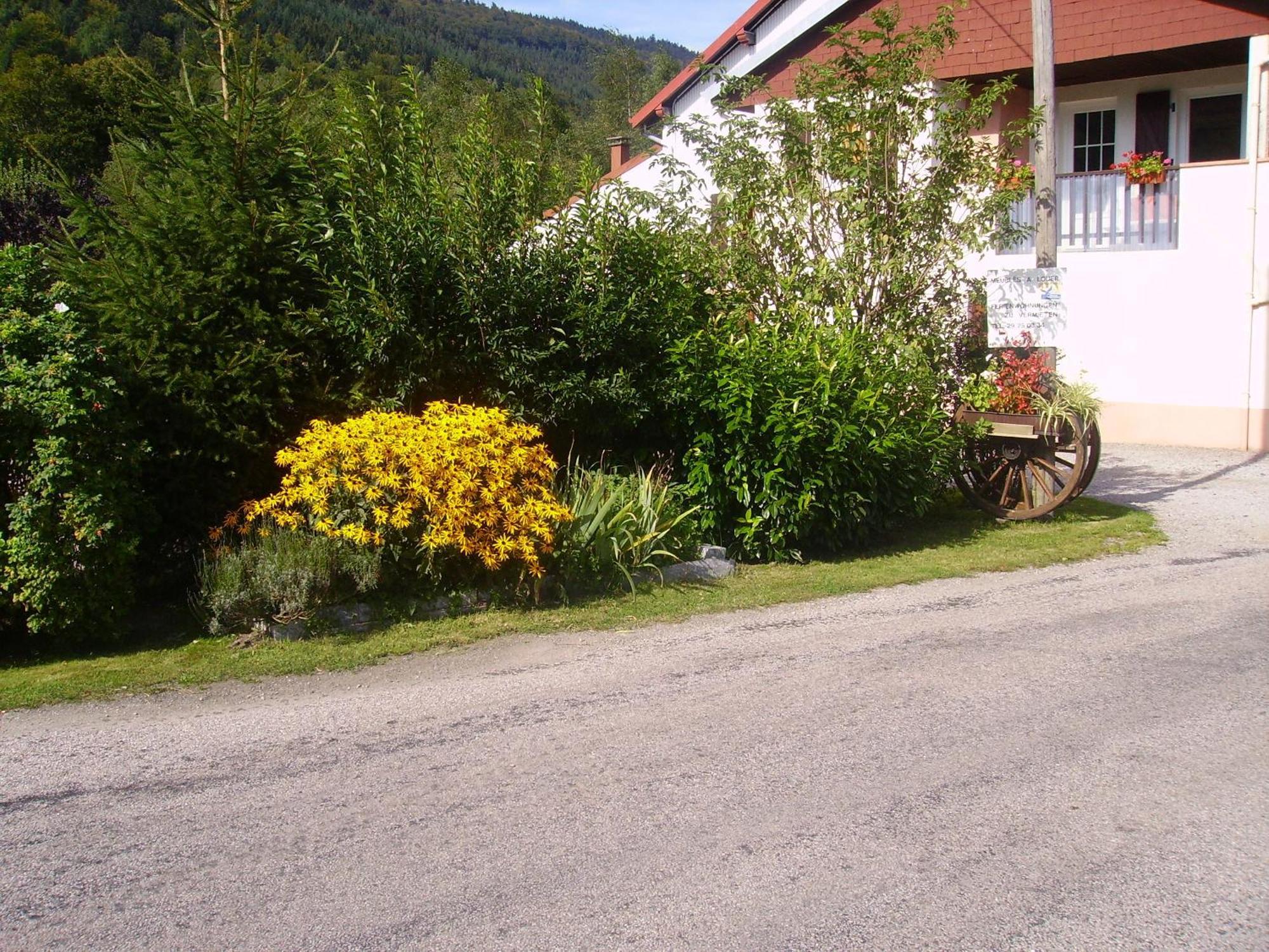 Gites Les Grandes Voies - Cle Vacances Le Ménil Zewnętrze zdjęcie